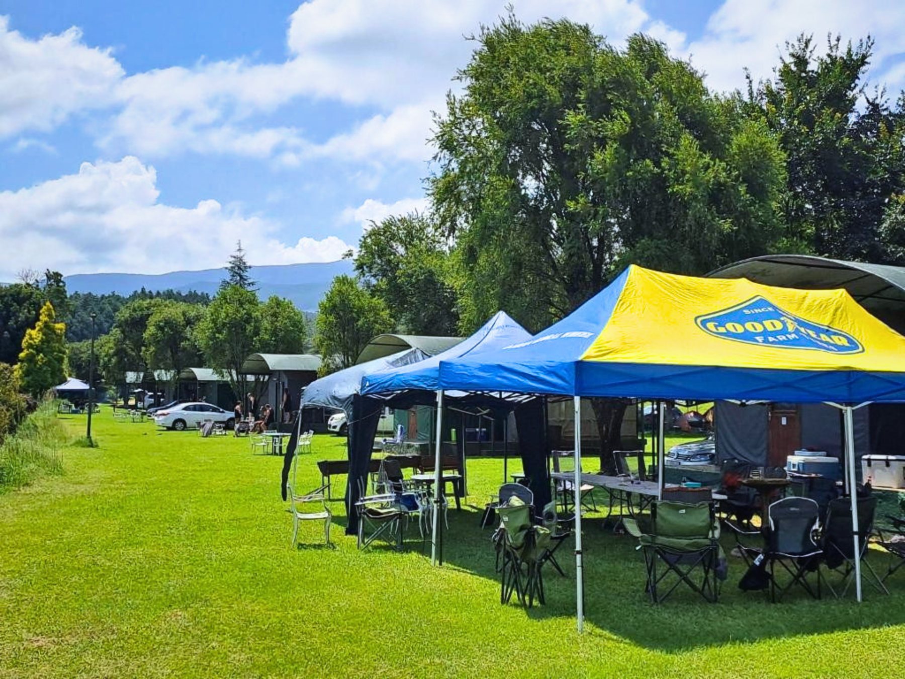 Level grassed camping site under the trees at Sabie River Camp