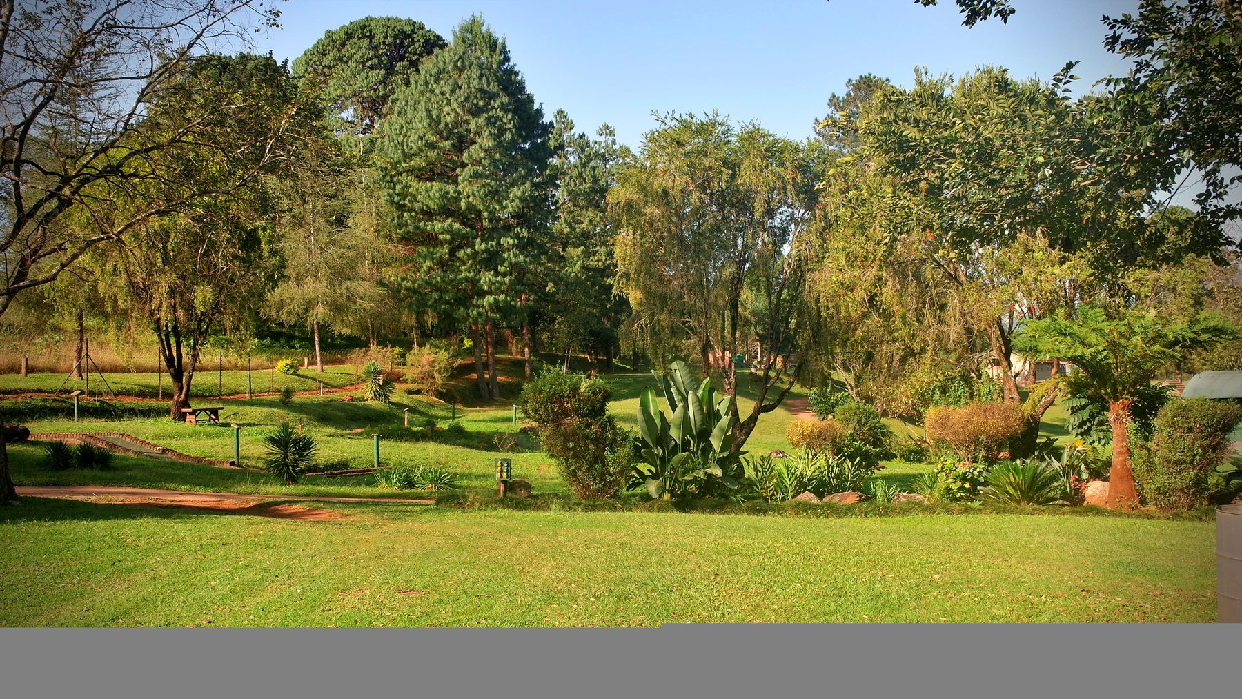 Green lawns and established trees on the grounds at Sabie River Camp